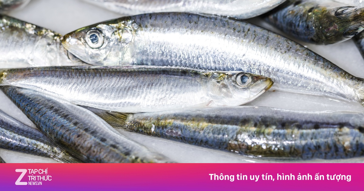 Loại cá vừa ngon, vừa tốt như 'thuốc bổ'