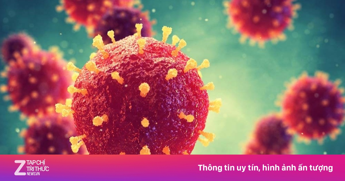 Vì sao virus Nipah nguy hiểm, tỷ lệ tử vong lên đến 75%?