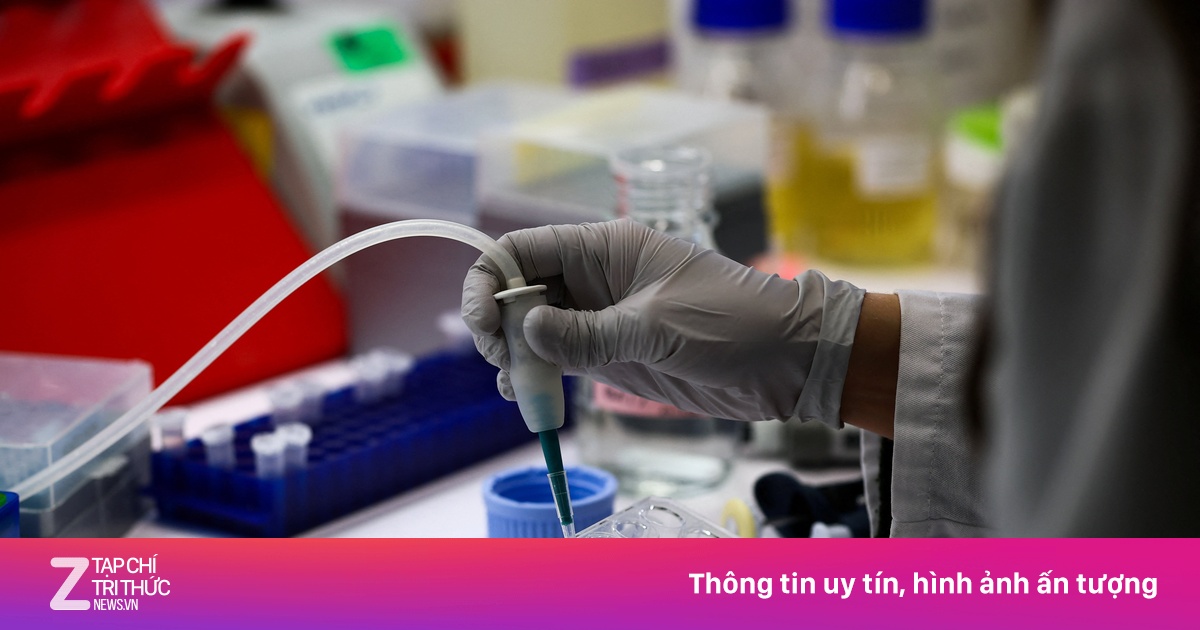 Virus Nipah gây tử vong cao, vì sao chưa có thuốc và vaccine?