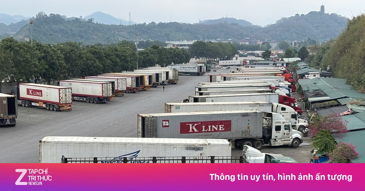 Bộ Y tế đề xuất tạm dừng hai văn bản siết quản lý an toàn thực phẩm