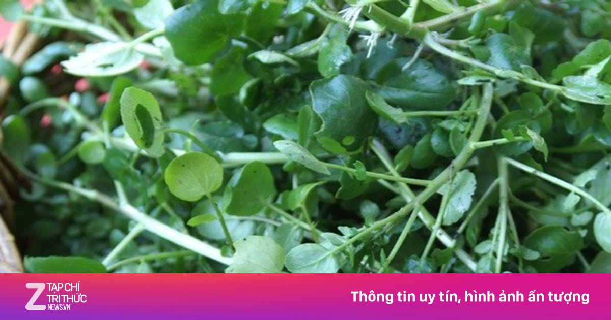 Loại rau chứa vô số ký sinh trùng, rửa càng kỹ càng tốt