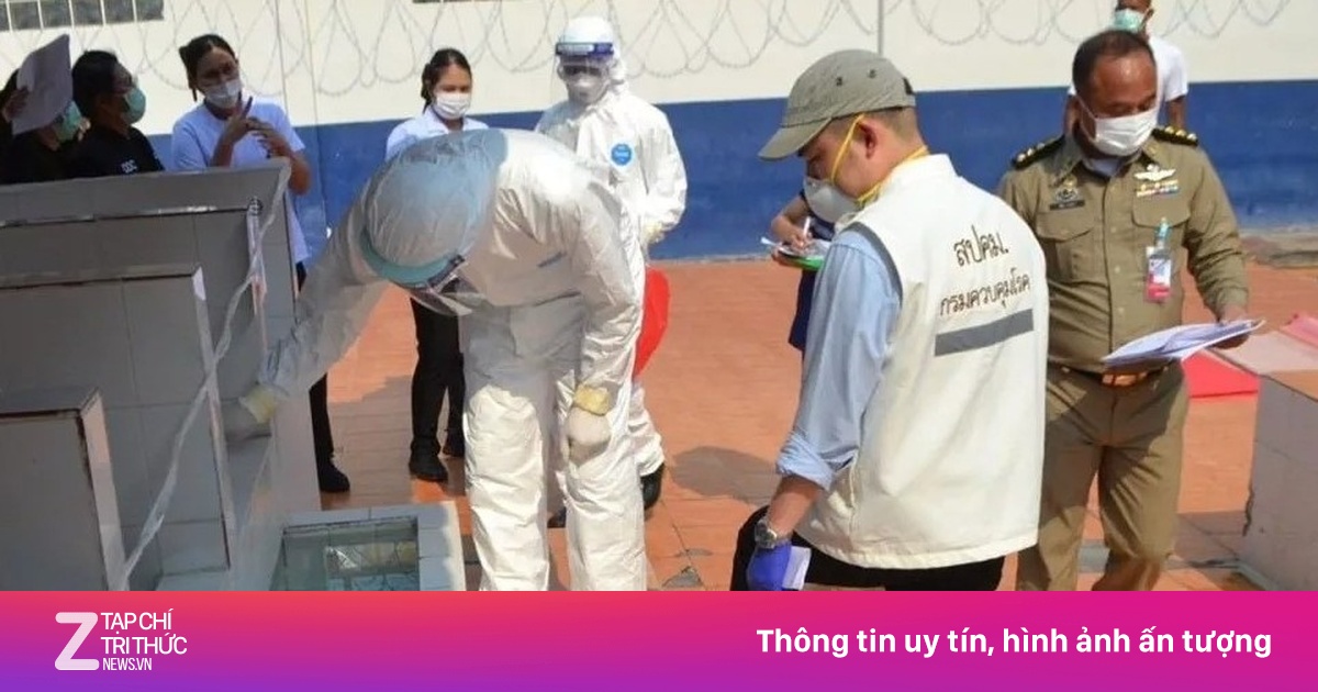Thái Lan Ghi Nhận Thêm Ca Nhiễm Đậu Mùa Khỉ Trong Trại Giam Sau Khi Một Phạm Nhân Tử Vong