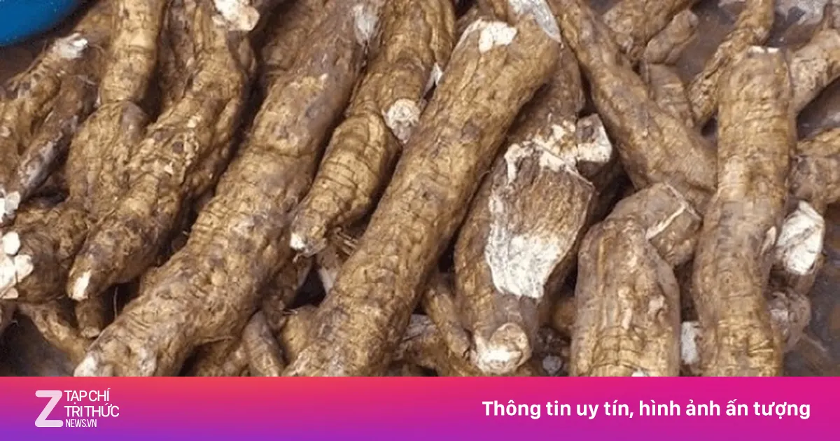 Loại củ Việt được ví như 'nhân sâm', ăn vào khỏe từ trong ra ngoài