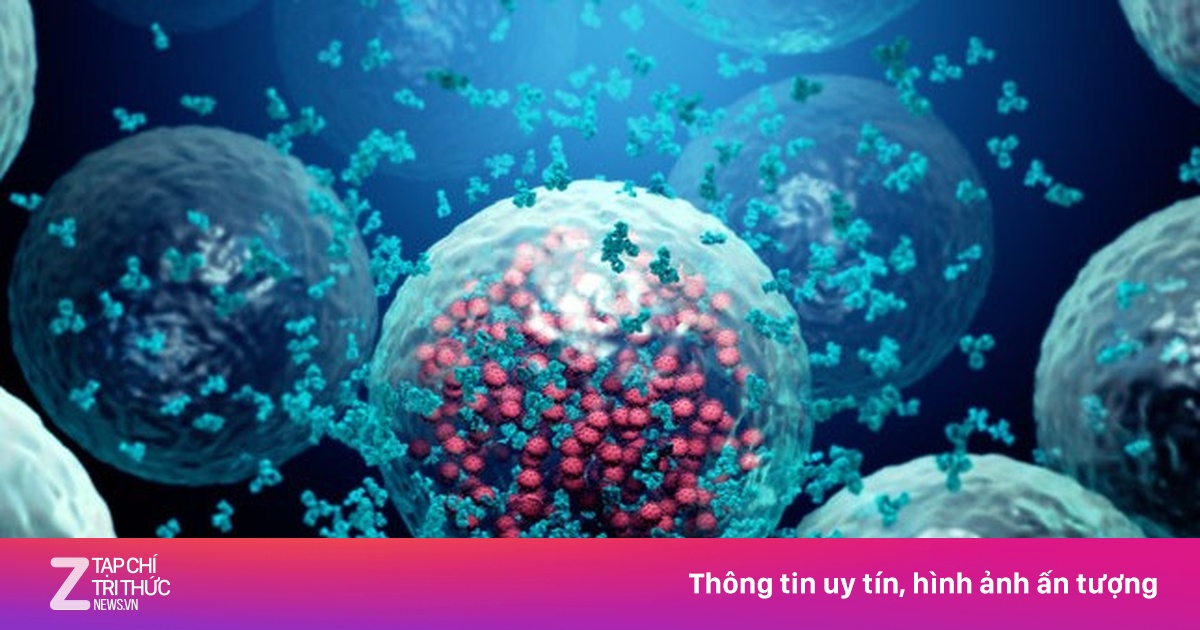Chữa ung thư, người đàn ông bất ngờ thoát luôn HIV