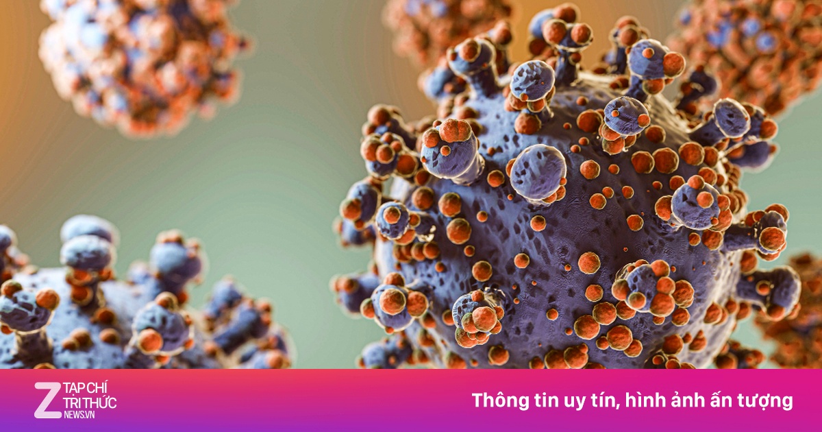 Virus Hanta khiến 3 người không qua khỏi, Bộ Y tế cảnh báo khẩn