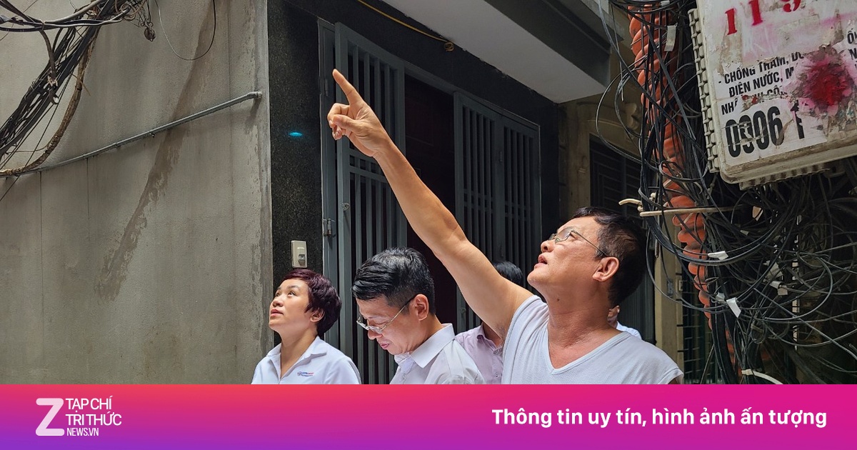 znews.vn