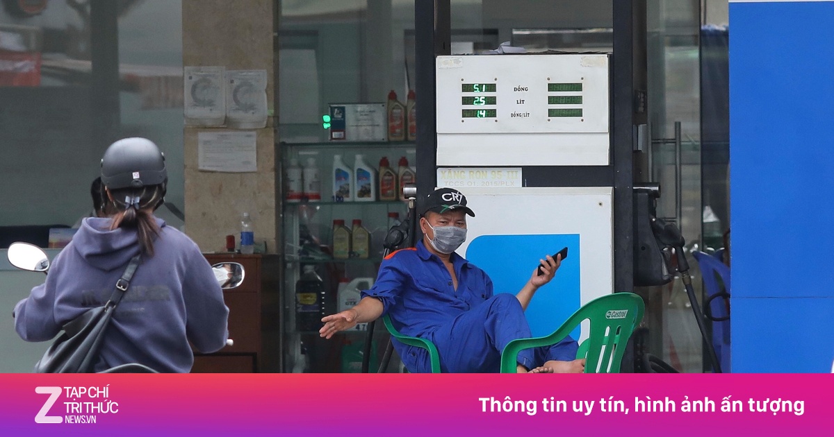 zingnews.vn