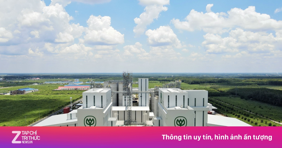 Nhà máy thịt gà 250 triệu USD của C.P. làm ăn ra sao?