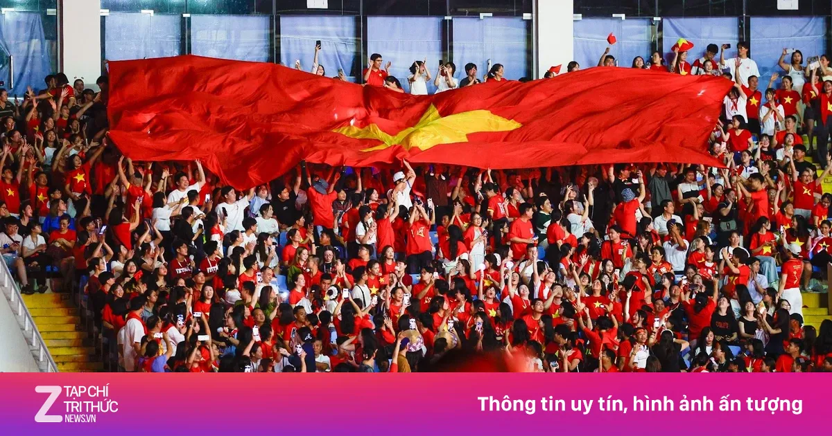 znews.vn