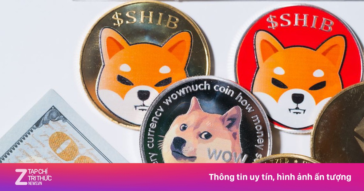 Nhiều nhà đầu tư Việt bán tháo coin Shiba Inu - Kinh tế số - ZNEWS.VN