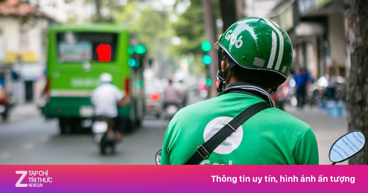 zingnews.vn