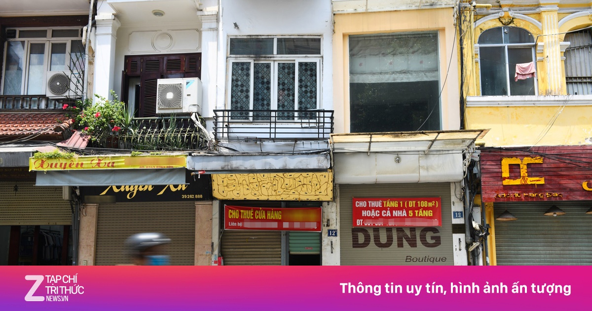 zingnews.vn