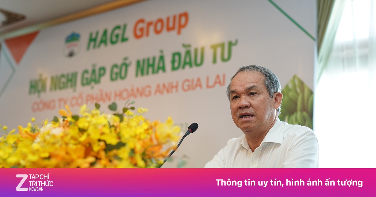 znews.vn