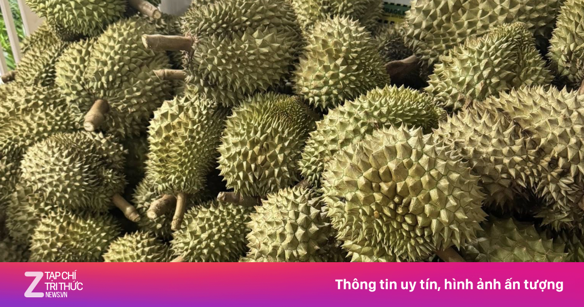 Sầu riêng gặp báo động đỏ từ Trung Quốc, chủ tịch hiệp hội gửi tâm thư