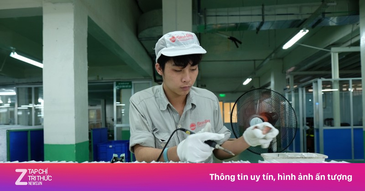 Bóng đèn Rạng Đông hụt nửa lợi nhuận vì 'cơn sóng' hàng Trung Quốc