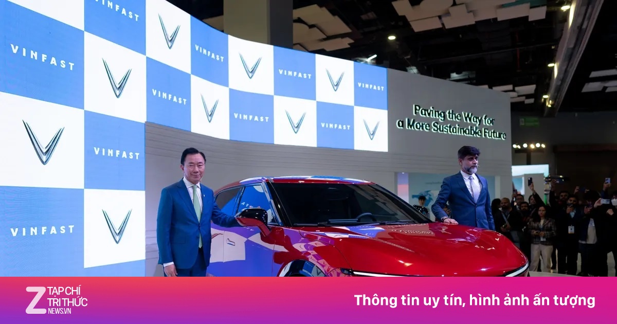 znews.vn