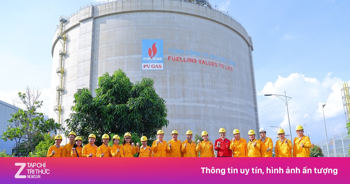 Đảng ủy Chính phủ khảo sát mô hình tổ chức Đảng tại Petrovietnam