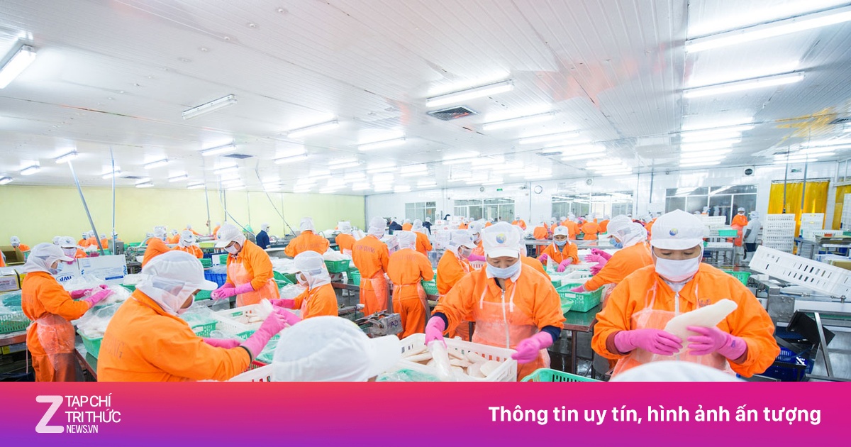 'Đại gia' cá tra Navico phá kỷ lục doanh thu lẫn lợi nhuận