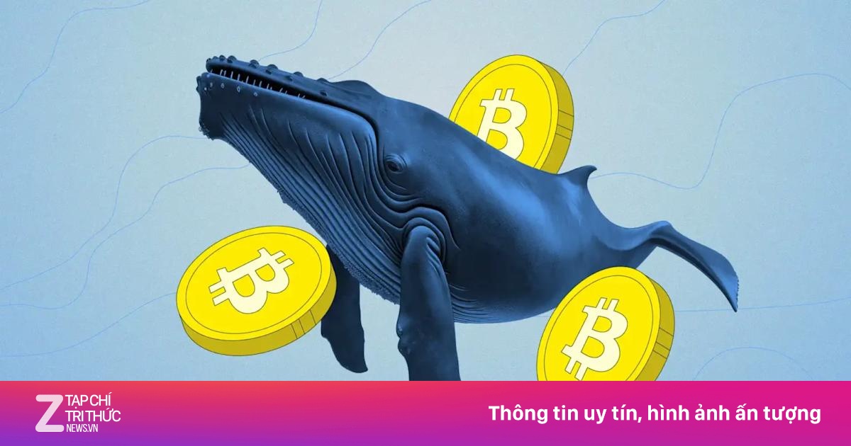 Các 'cá voi' đang rời Bitcoin