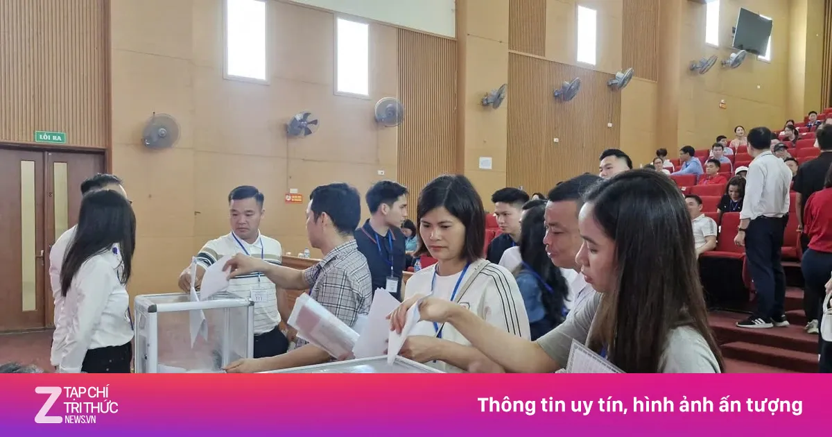 Hà Nội: 17 lô đất ở Quốc Oai trúng đấu giá từ 84-125 triệu đồng/m2