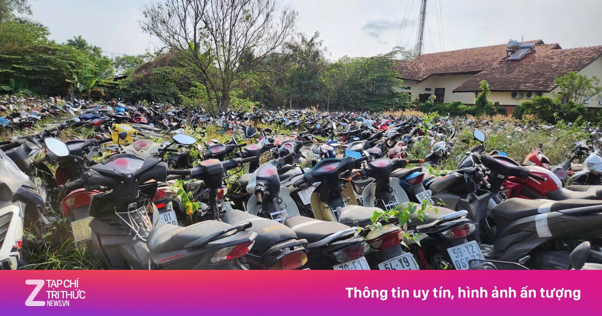 TP.HCM đấu giá 40.000 xe vi phạm làm phế liệu, có cả Vespa, SH
