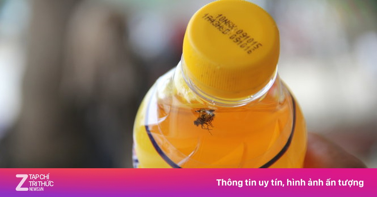 Người dân mua phải chai nước Number One có ruồi - Xã hội - ZNEWS.VN