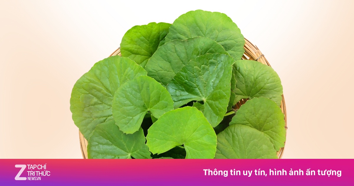 Loại rau là 'thần dược' cho làn da