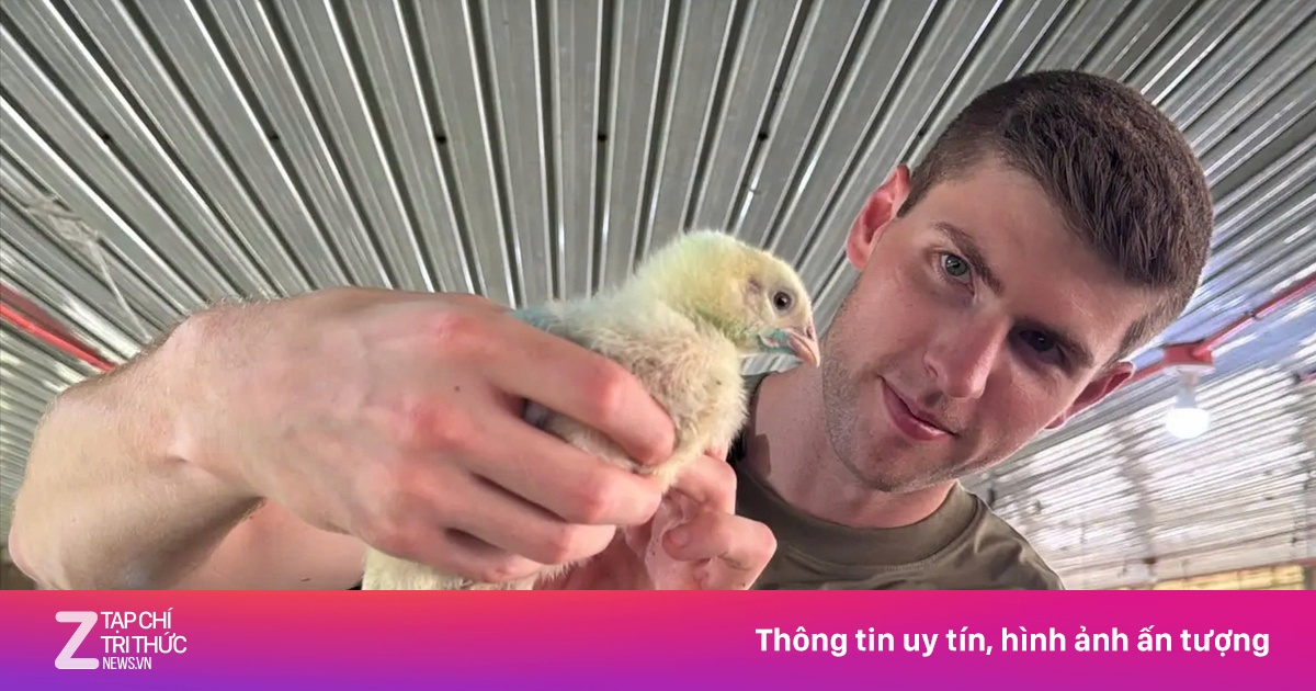 Nghỉ việc ngân hàng lương trăm nghìn USD để cho gà ăn