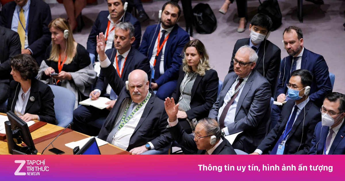 zingnews.vn