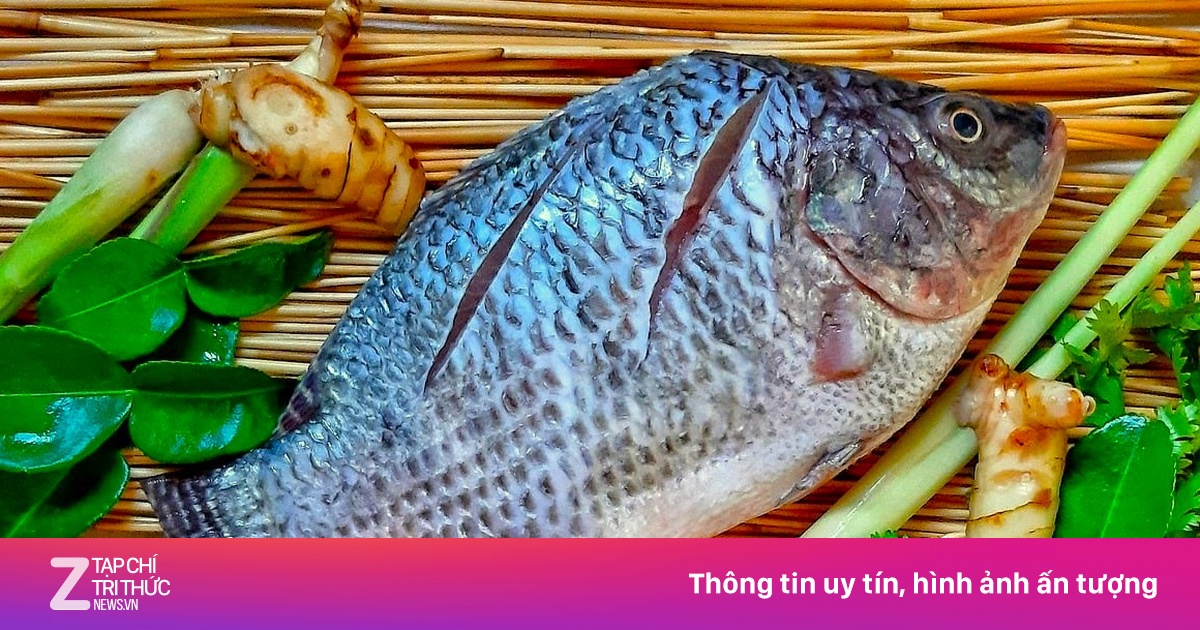 Những điều cần biết khi ăn cá rô phi | Znews.vn