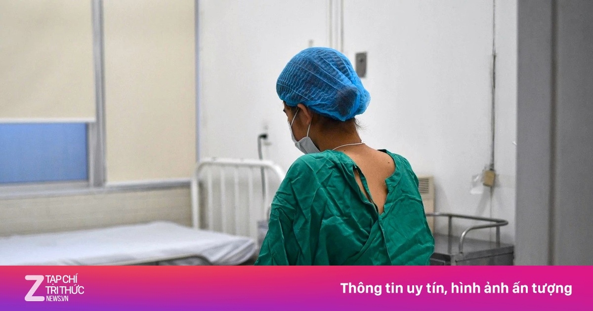 lifestyle.zingnews.vn