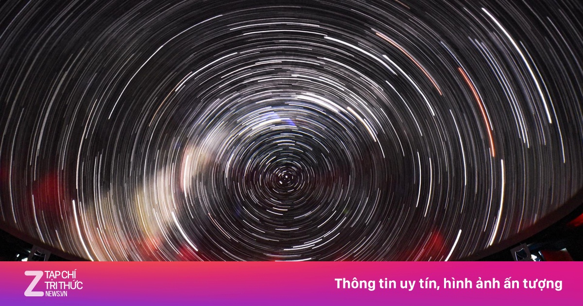 zingnews.vn