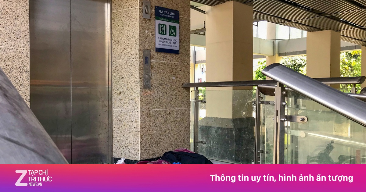 zingnews.vn