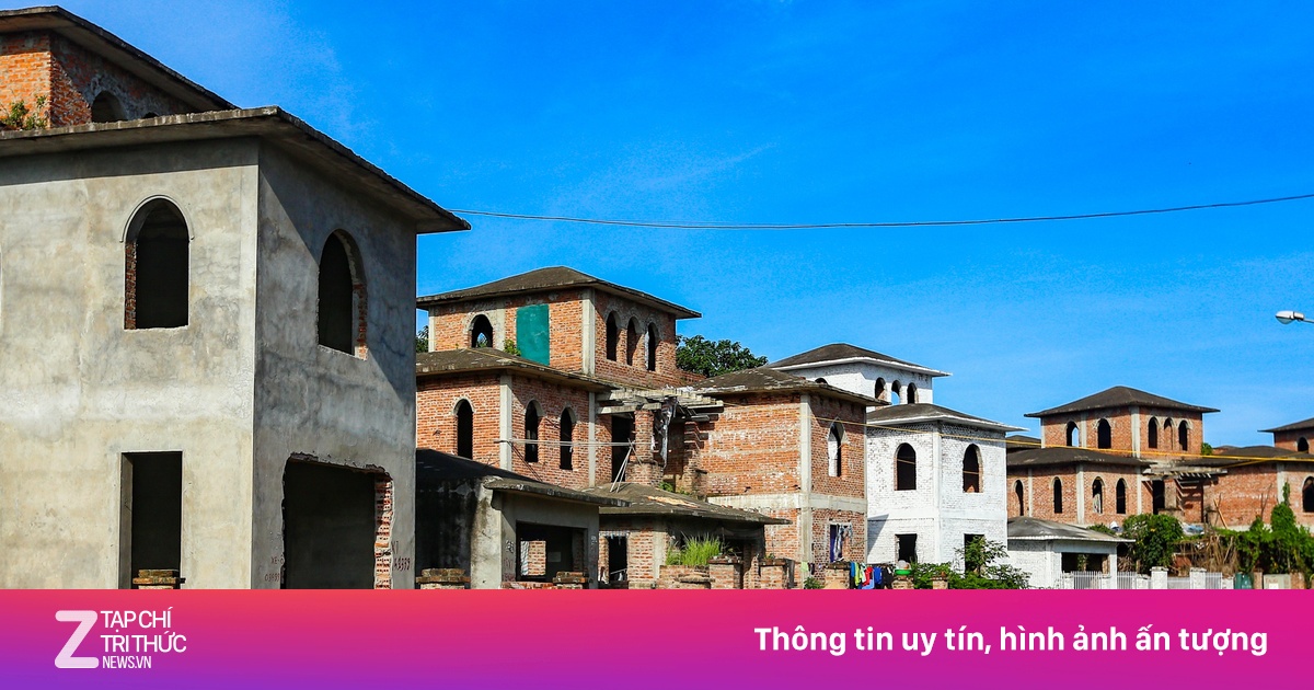 zingnews.vn