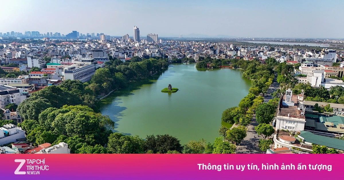 znews.vn