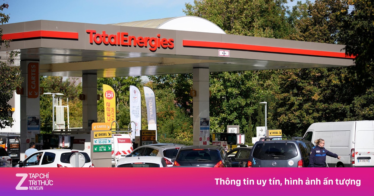zingnews.vn