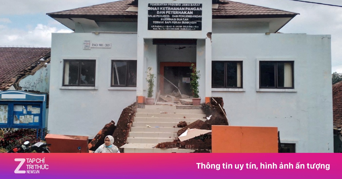 zingnews.vn