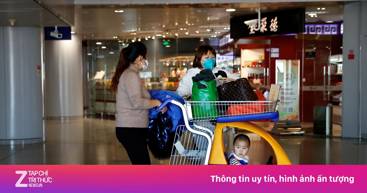zingnews.vn