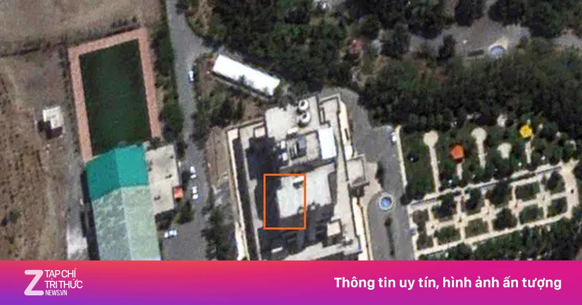 znews.vn