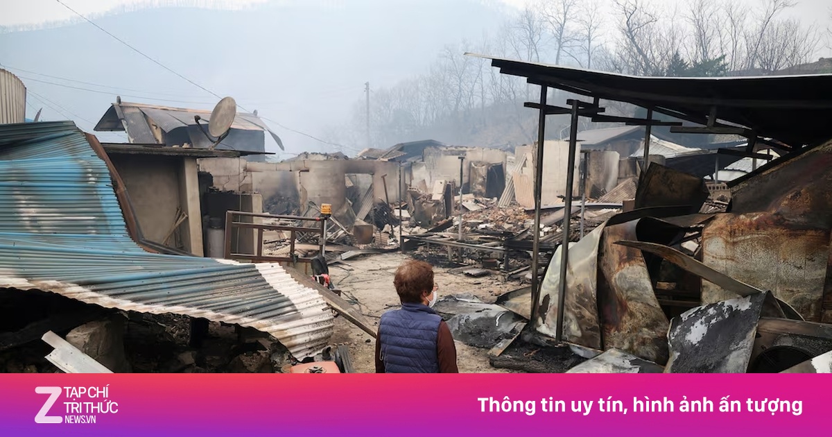 Đống tro tàn sau vụ cháy rừng chết chóc nhất lịch sử Hàn Quốc