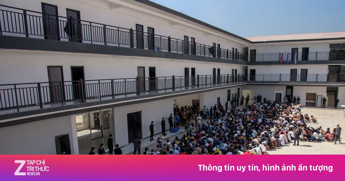 Ngành công nghiệp lừa đảo lại 'sáng đèn