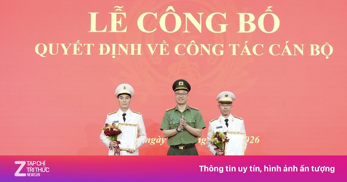 znews.vn