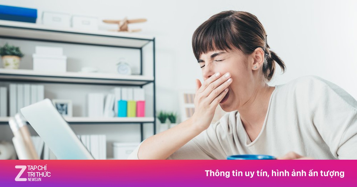 zingnews.vn