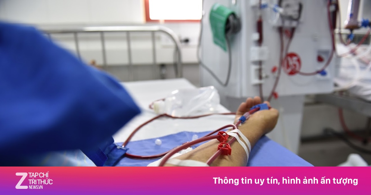 Ăn hải sản thường xuyên trong nhiều năm, người đàn ông bị suy thận