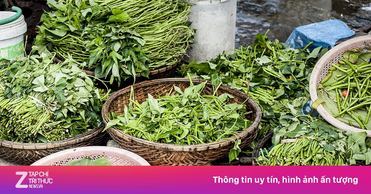 Những loại rau chứa đầy giun sán | Znews.vn