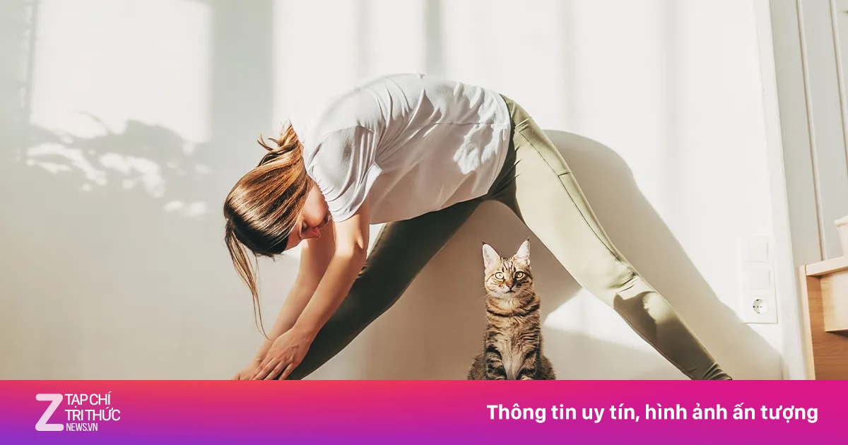 6 thói quen buổi sáng giúp 'đẩy lùi' mỡ máu