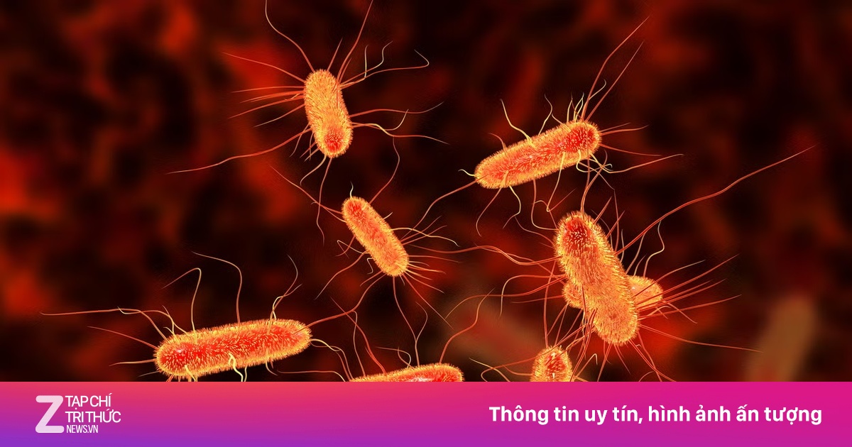 Triệu chứng phổ biến nhất khi nhiễm khuẩn E. coli