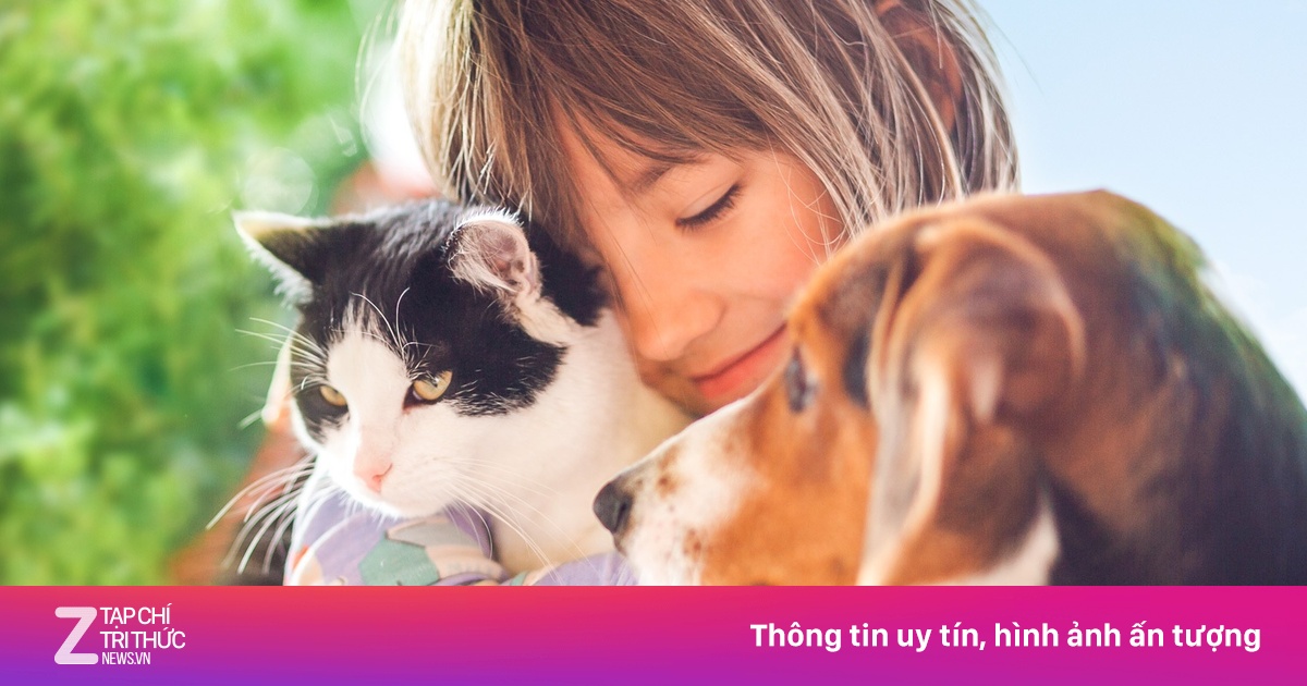 Những loại giun sán có thể lây nhiễm từ vật nuôi