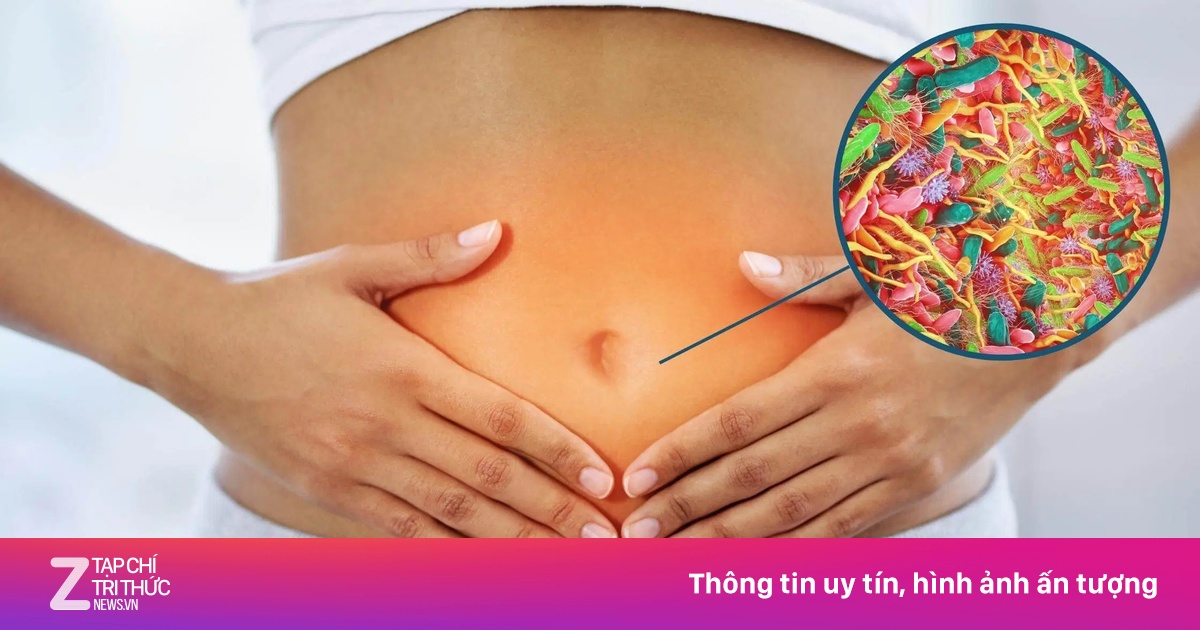 Triệu chứng có thể cảnh báo bạn nhiễm ký sinh trùng