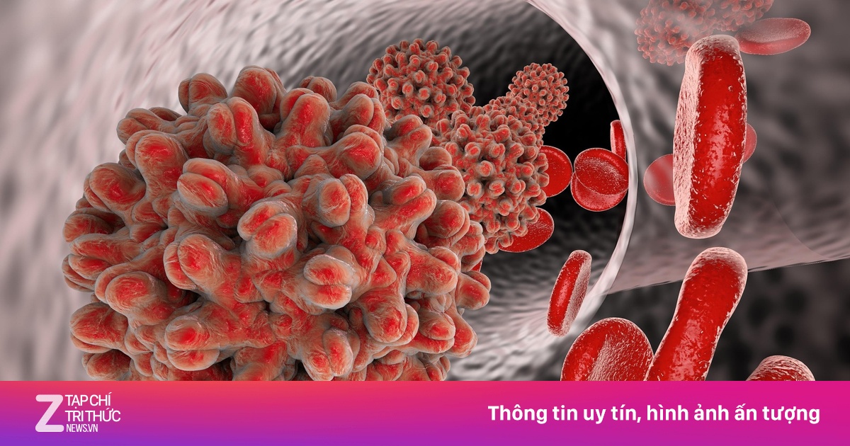 Image hình ảnh hình ảnh hình ảnh hình ảnh hình ảnh hình ảnh hình ảnh Fornazari - Bệnh viêm gan B nguy hiểm thế nào? - Sức khỏe